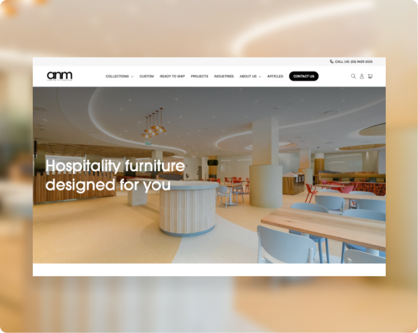 Web development folio for ANM