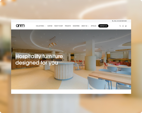 Screenshot of ANM homepage