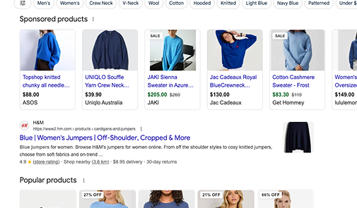 website frontend copy display alongside website displayed in search results