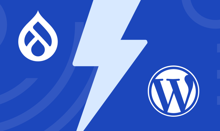 Drupal VS WordPress: Which Option is Right For You?