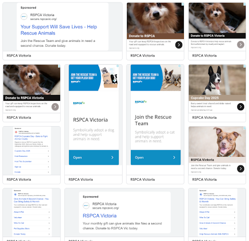 A screenshot of RSPCA Victoria's Google Ad campaigns from Google Ads Transparency Center.